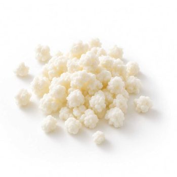 Nodulos y Granos de Kefir de Leche Vivos