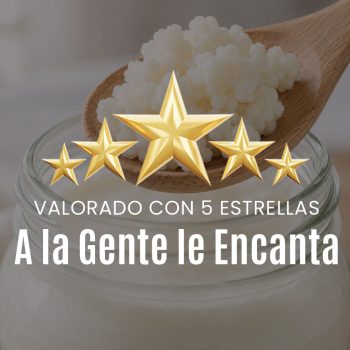 Granos de kéfir de leche sobre una cuchara