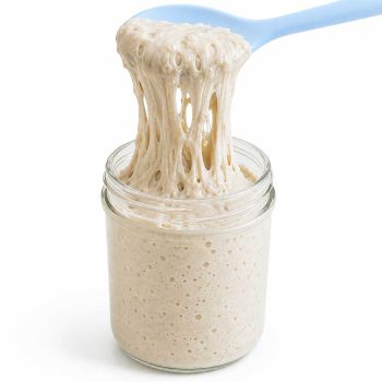 Masa madre sin gluten activa con textura elástica y burbujas sobre fondo blanco