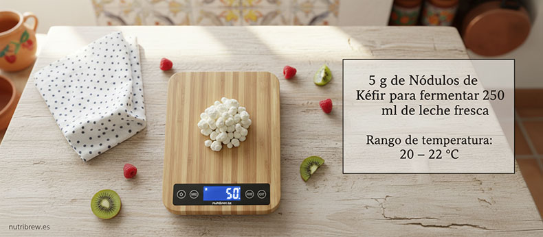 Primer-plano-detallado-de-5-gramos-de-nodulos-de-kefir-de-leche-frescos