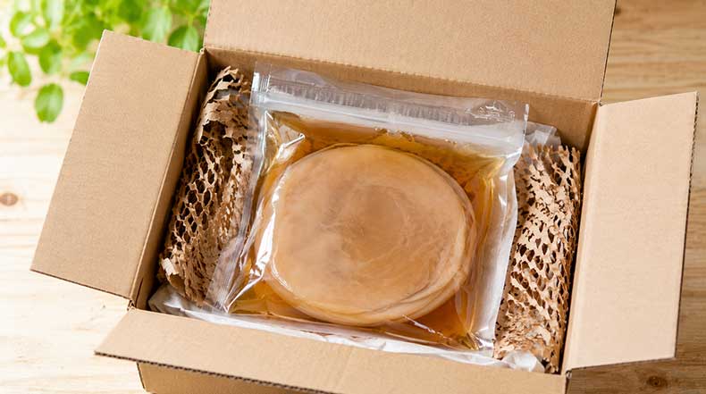 SCOBY de kombucha envasado en líquido iniciador listo para envío seguro a toda España