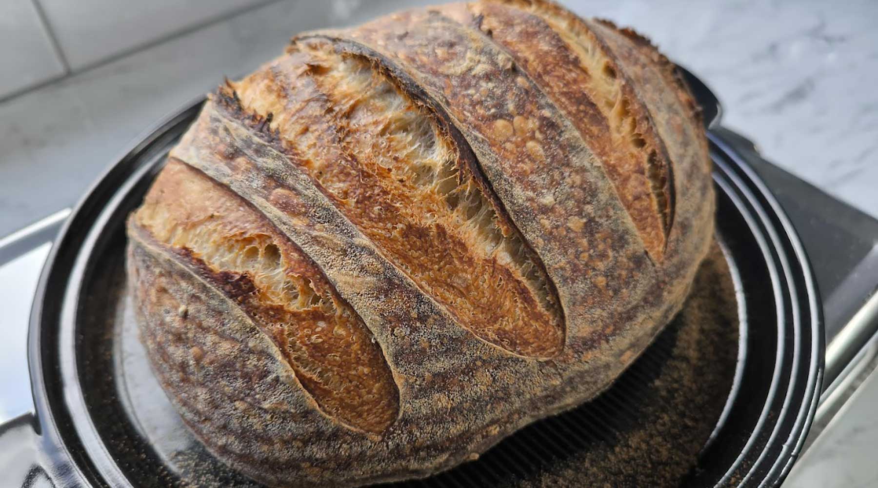 Hogaza artesanal de masa madre recién horneada con greñado manual y fermentación natural lenta