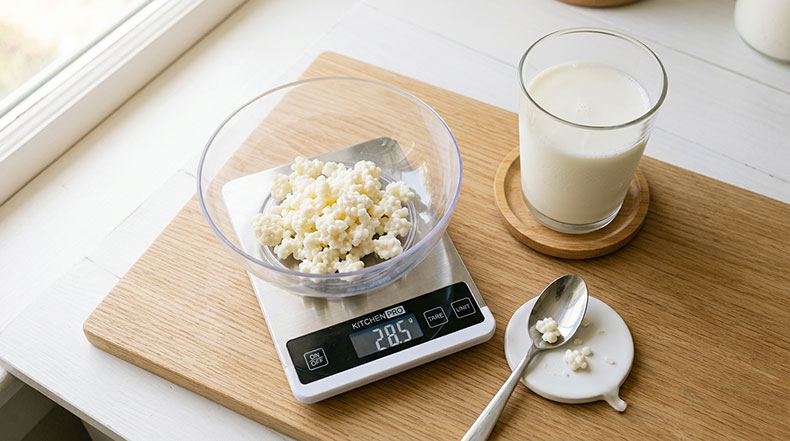 Báscula de cocina con nódulos de kéfir de leche junto a un vaso de leche mostrando la proporción correcta de granos por litro para evitar la sobre-fermentación