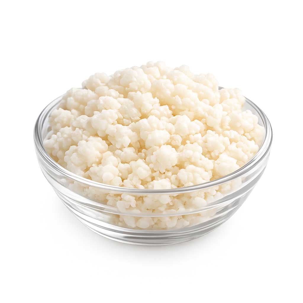 Nódulos de kéfir de leche vivos NutriBrew